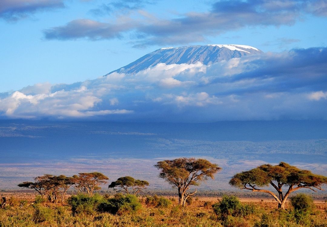 pazuri africa kilimanjaro