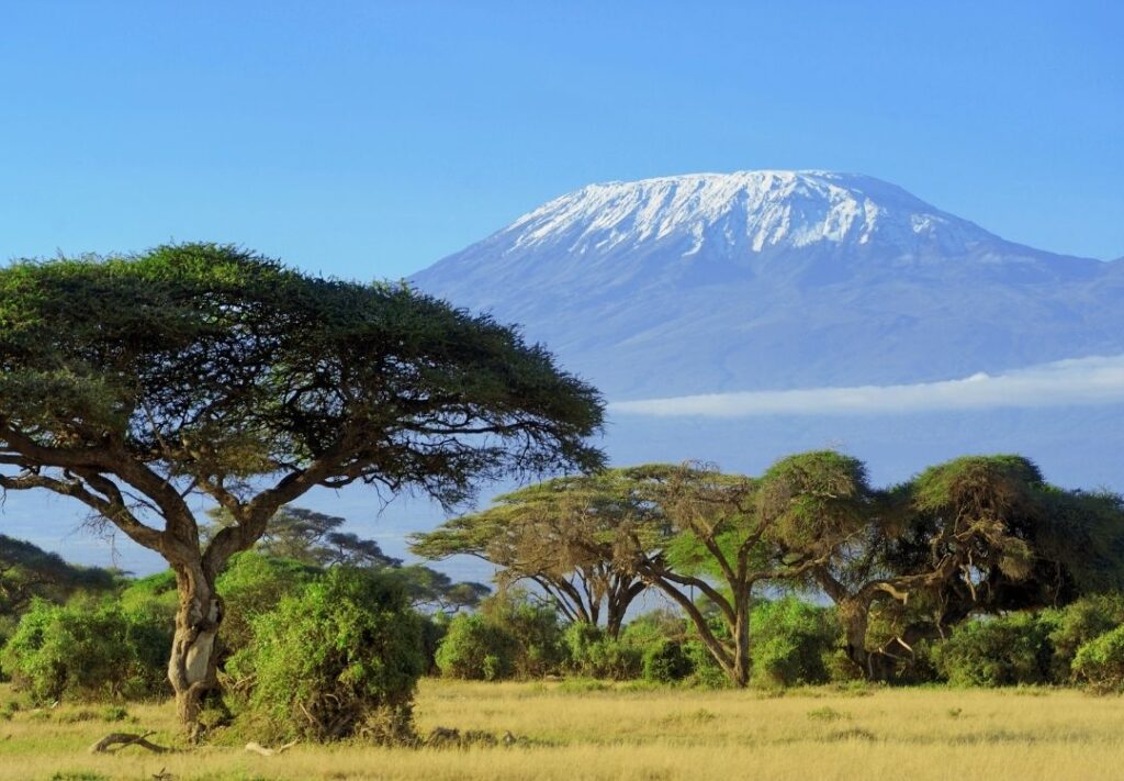 pazuri africa mount kilimanjaro
