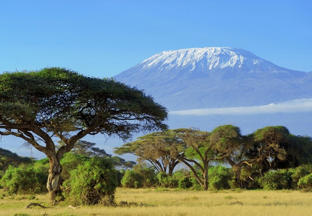 pazuri africa mount kilimanjaro