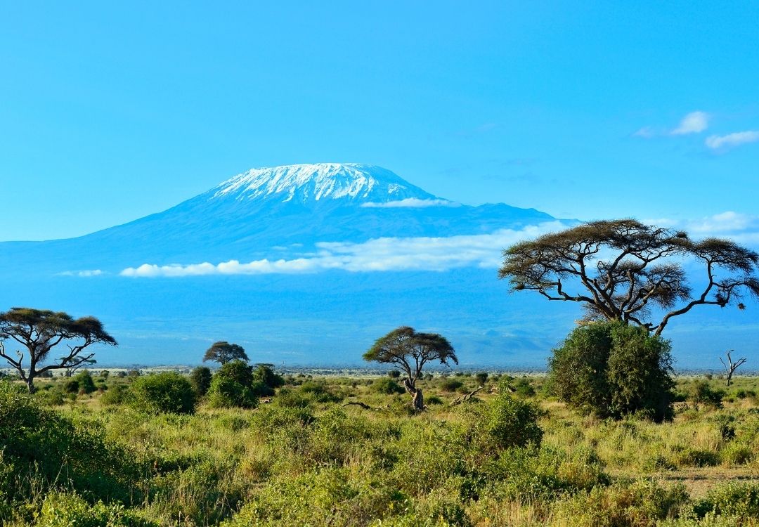 pazuri africa mount kilimanjaro(1)