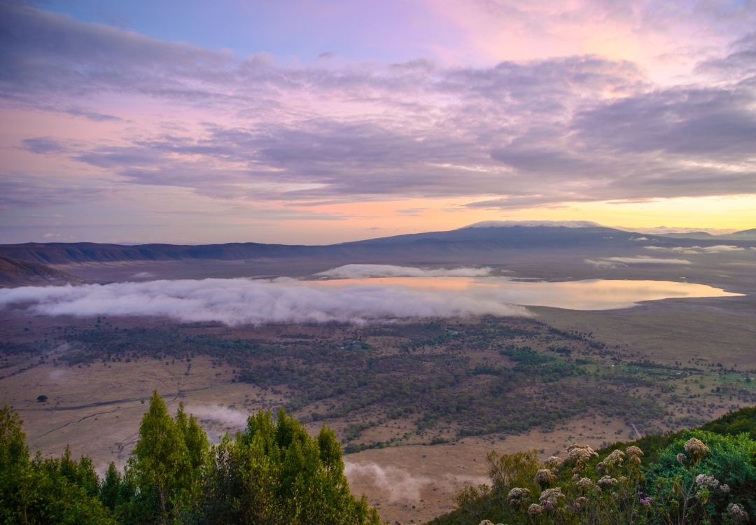 pazuri africa ngorongoro