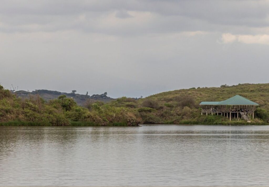 pazuri africa arusha park