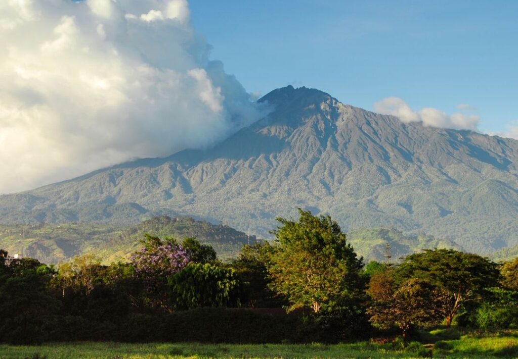 pazuri africa mount meru