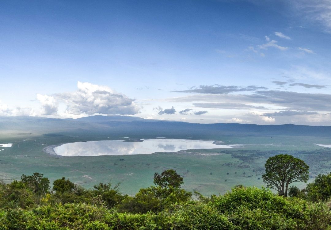 pazuri africa ngorongoro(1)