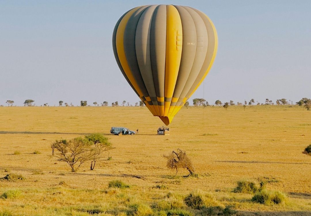 pazuri africa serengeti(5)