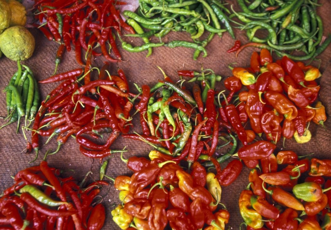 zanzibar pazuri africa(1)