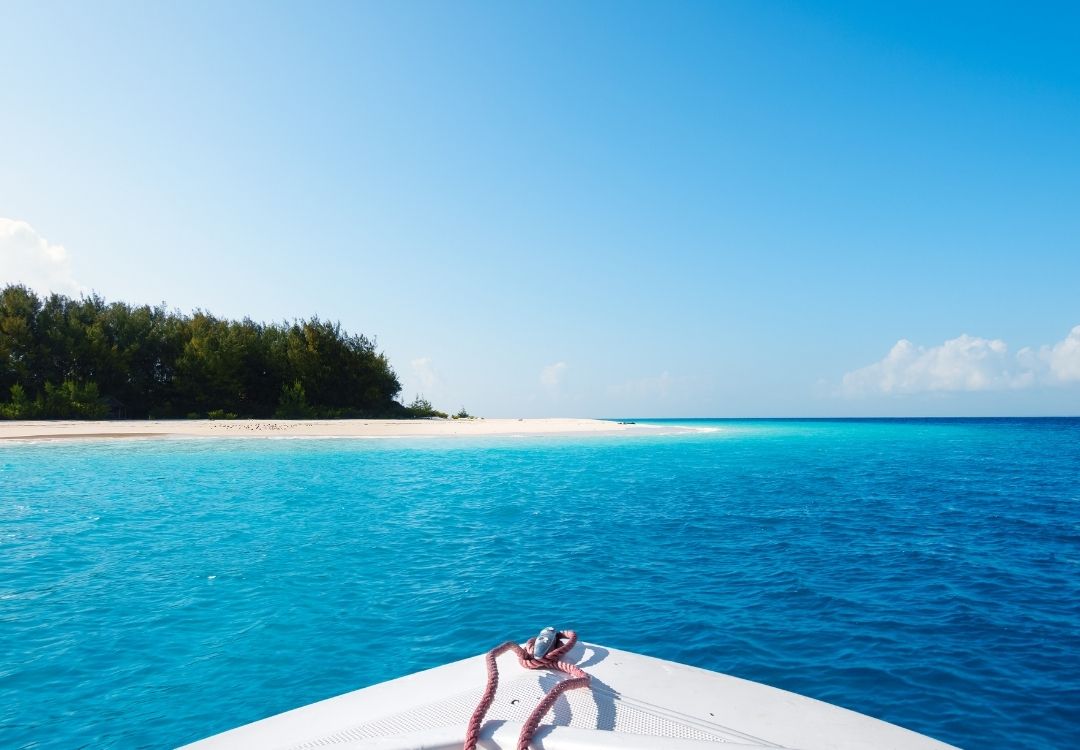 Mnemba Island Snorkeling Trip zanzibar pazuri africa(10)