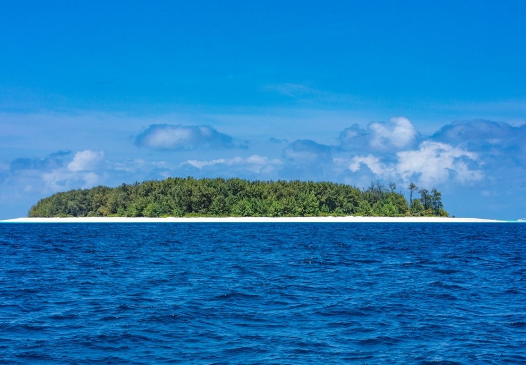 Mnemba Island Snorkeling Trip zanzibar pazuri africa(11)