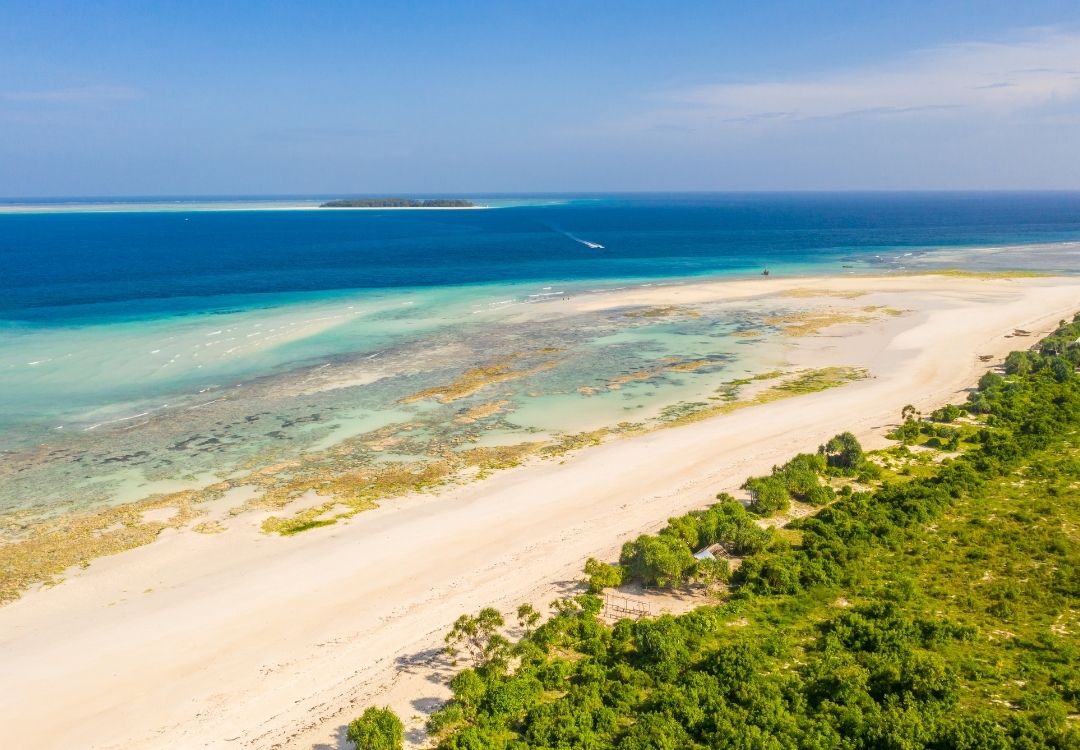 Mnemba Island Snorkeling Trip zanzibar pazuri africa(12)