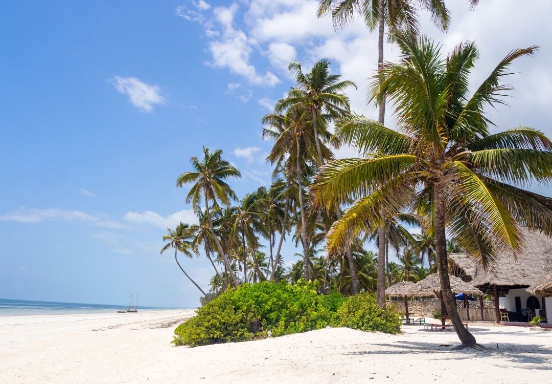 zanzibar pazuri africa(15)