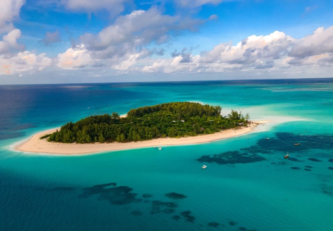 zanzibar pazuri africa(2)