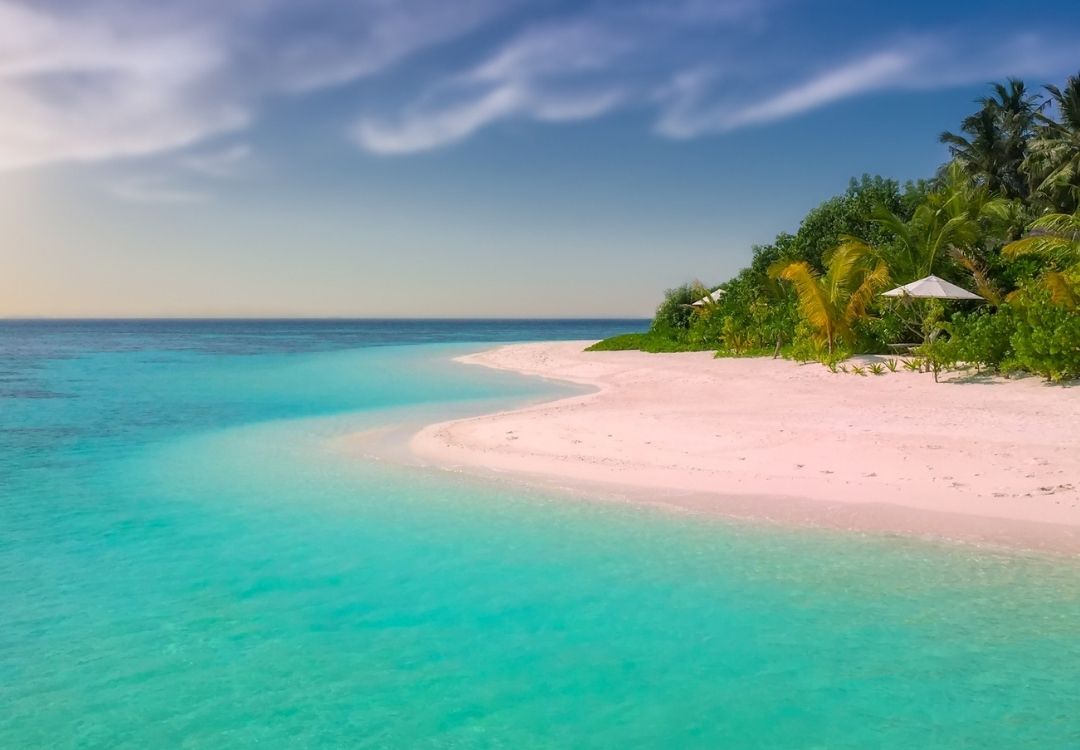 Mnemba Island Snorkeling Trip zanzibar pazuri africa(9)